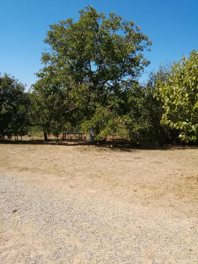 Podere Calcinaia Castelnuovo Berardenga Eksteriør bilde